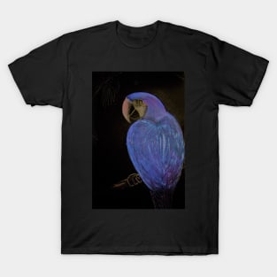 LUSTRE BLUE PURPLE TROPICAL PARROT T-Shirt